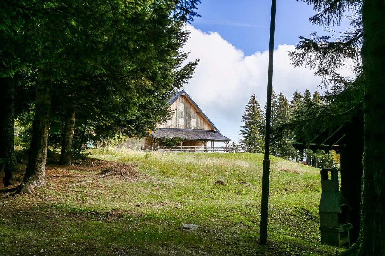Chalet Liza & Rozi Zgornja Loznica Dış mekan fotoğraf