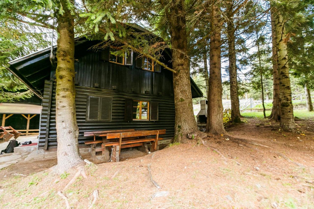 Chalet Liza & Rozi Zgornja Loznica Dış mekan fotoğraf